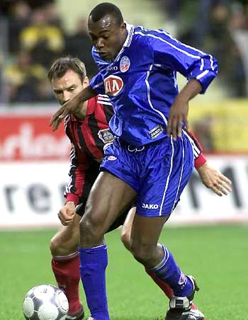 园的升级不 园的升级不